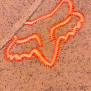 FOX sweater